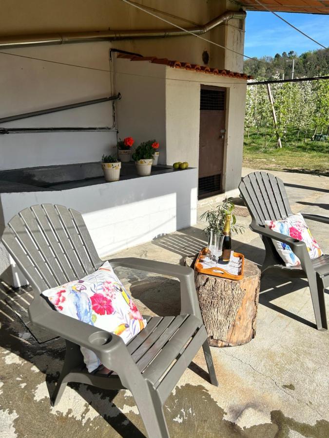 Casa Vicente Villa Lamego Eksteriør billede