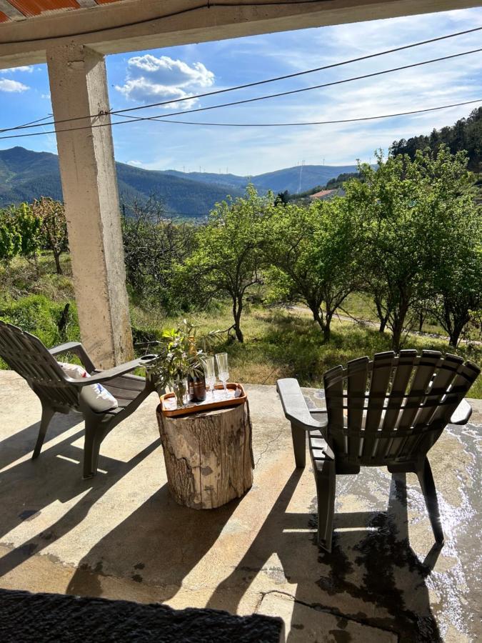 Casa Vicente Villa Lamego Eksteriør billede
