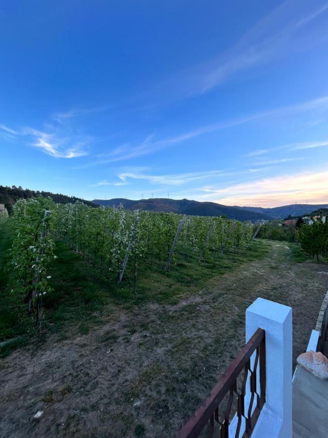 Casa Vicente Villa Lamego Eksteriør billede