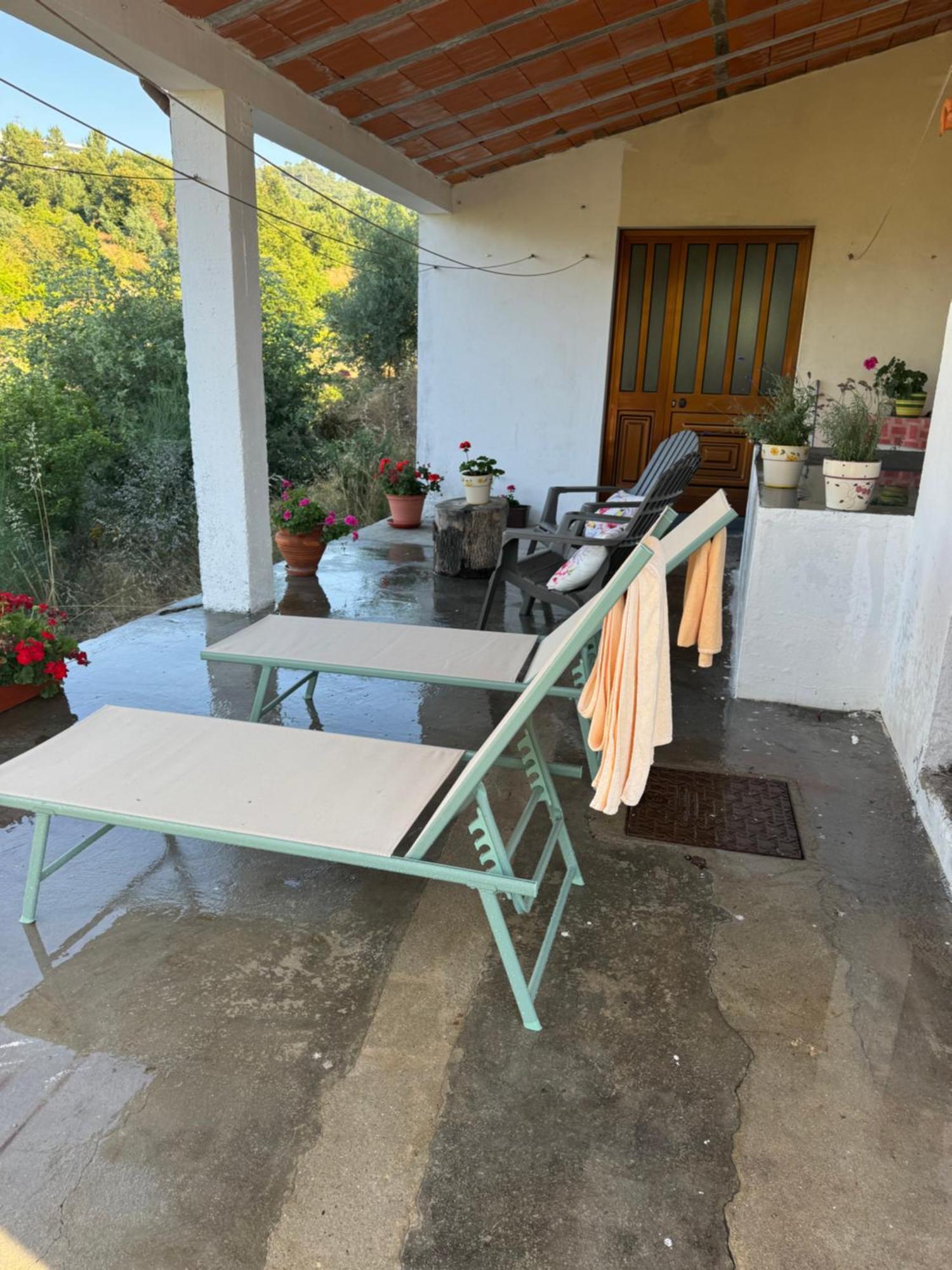 Casa Vicente Villa Lamego Eksteriør billede